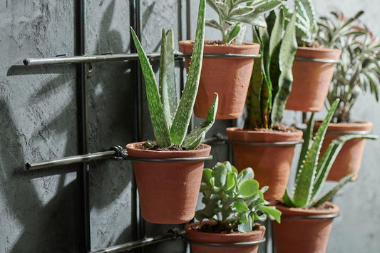 Jardinière murale Jara en terre cuite